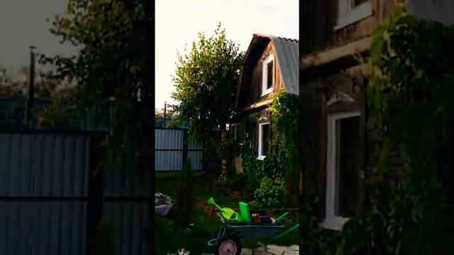 Берёзы ? смотреть онлайн