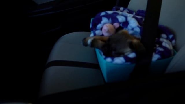 ПОПОЛНЕНИЕ В СЕМЬЕ | ПАССИВНЫЙ СЛОВАРНЫЙ ЗАПАС *влог* смотреть онлайн