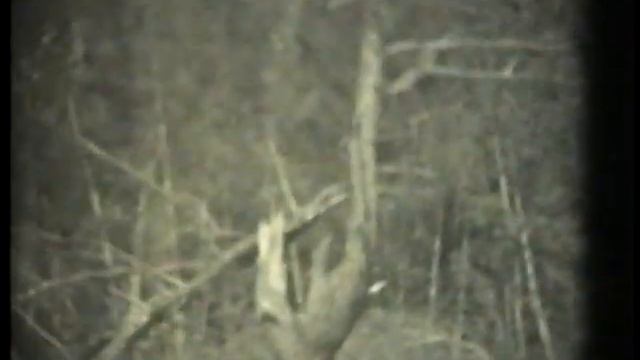 История города Протвино