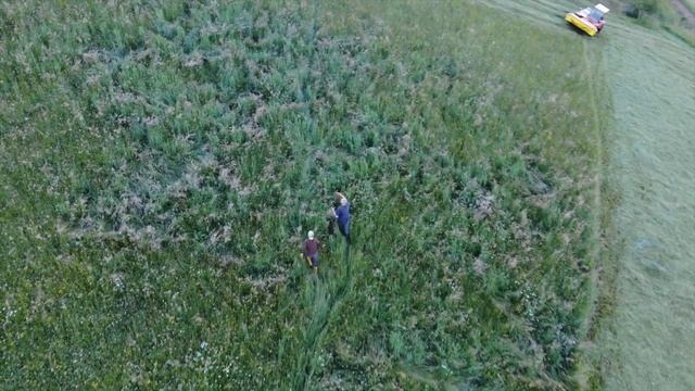 Rehkitzrettung mit der DJI Mavic 2 Enterprise Thermal смотреть онлайн