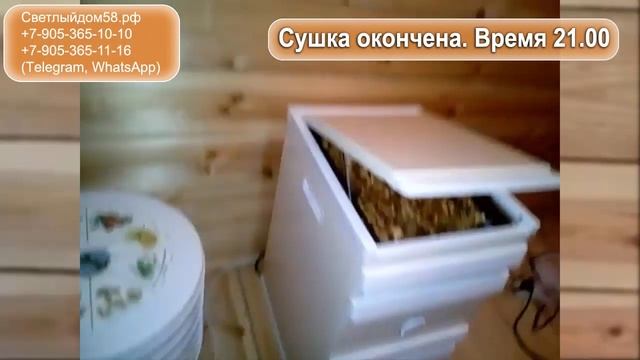 2к. Инфракрасная сушилка Дачник 4 или вентиляторная (тест). Лучшие сушилки для овощей и фруктов. смотреть онлайн