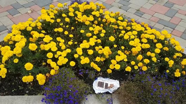 Ритуал - онлайн На защиту от воров, потерь и безопасную дорогу на шоколад и 13 монет.К Урану и Арес смотреть онлайн