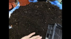 Можно ли использовать грунт повторно? Готовлю грунт. Привожу в порядок кашпо  на новый сезон.