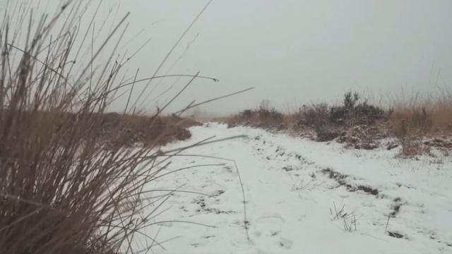 ♥ ❤ ВАЛЕНТИНКА ❤ ♥ на день всех влюбленных! РОК ПЕСНЯ Greetings for st. Valentine`s day ROCK SONG смотреть онлайн