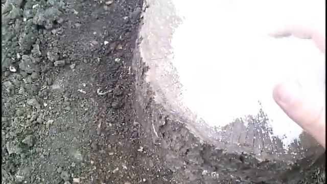 Как убрать пень химическим способом смотреть онлайн