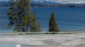 САЛИХАТ ОМАРОВА - Кто бы знал (2024)