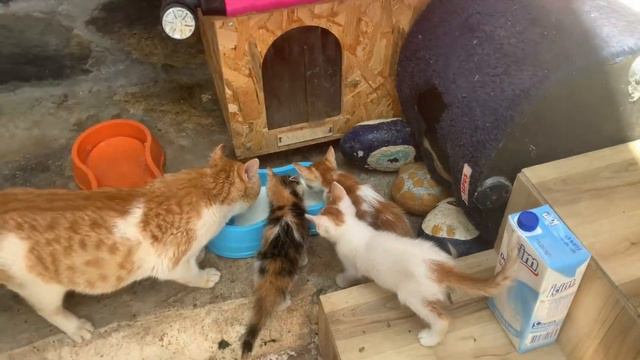 День 2. Воскресенье. смотреть онлайн