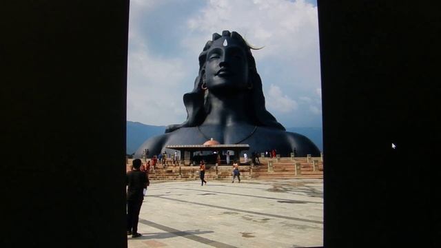 Большие, маленькие ушки и модный окрас с фото приколами. смотреть онлайн