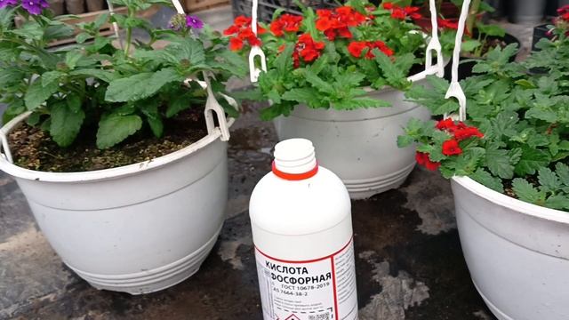 Подкисление воды ортофосфорной кислотой , где купить смотреть онлайн