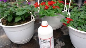 Подкисление воды ортофосфорной кислотой , где купить