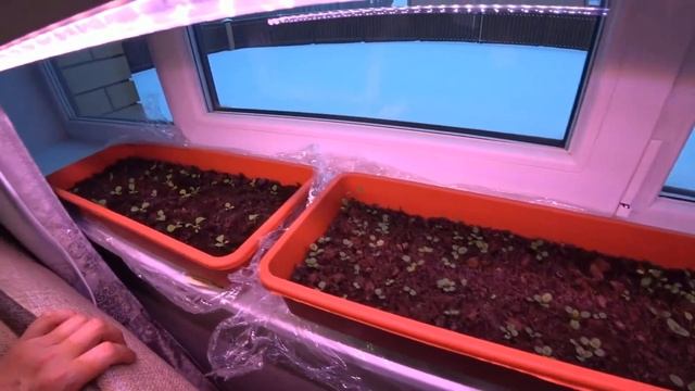 Едем к сыну в армию, 5 минут на свиданку. Но ремонт,ремонт,ремонт. смотреть онлайн