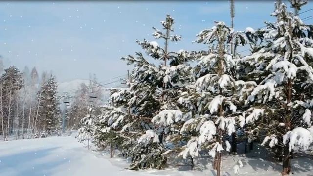 Enigma   Principles Of Lust