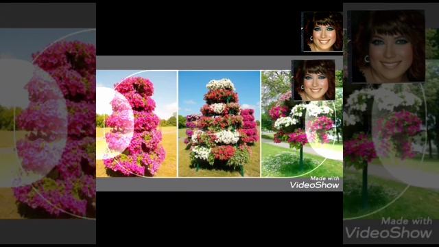 Идеи для дачи!?? Клумбы для петуний! Воплощаем в жизнь красоту! ? ? (информация взята из инета) смотреть онлайн