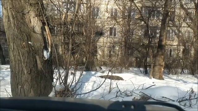 ПОЙМАЛ СКОЛ НА ЛОБОВОМ ГОЛЬФ 3 смотреть онлайн