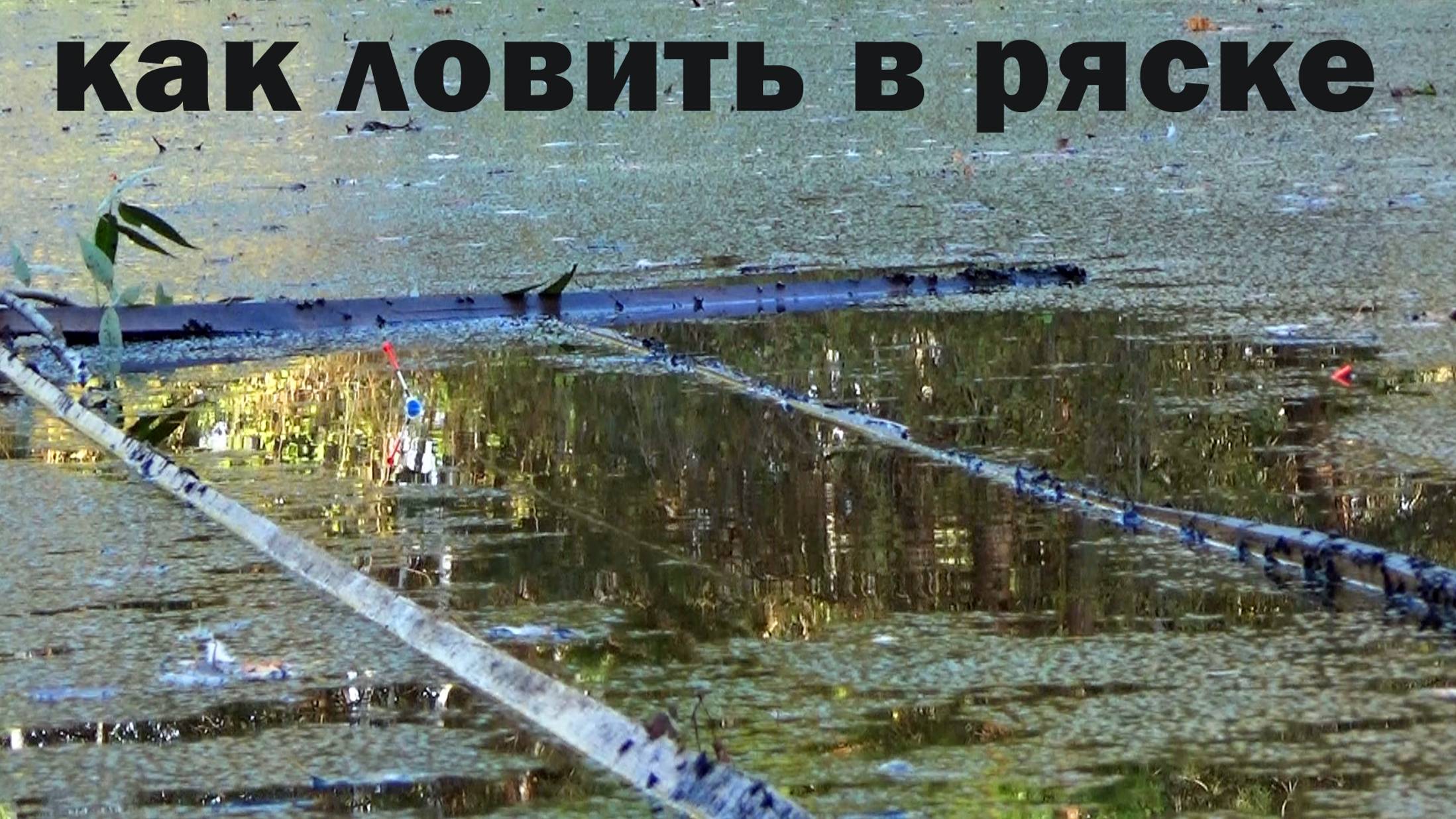 Рыбалка 15 сентября на поплавок на карася смотреть онлайн