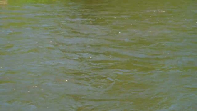 Скег из Sanforовской бутылки для средства чистки унитаза смотреть онлайн