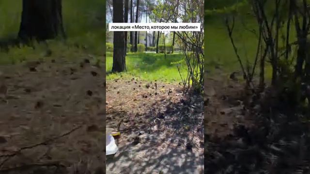 Чистый Липецк 2022 МБОУСОШ №4 смотреть онлайн