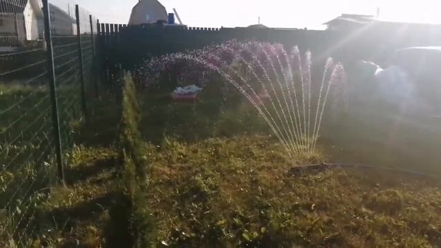 Дождеватель Гардения, полив смотреть онлайн