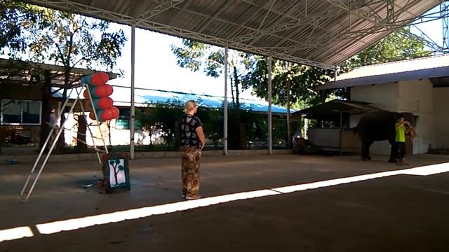 Тайские слоны любят отжигать.. смотреть онлайн