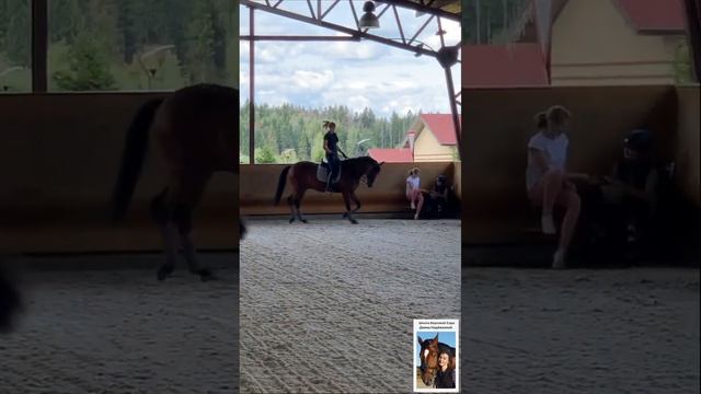 Разминка лошади на строевой рыси смотреть онлайн