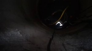 Насос Dab divertron запускается через каждых 3 минуты