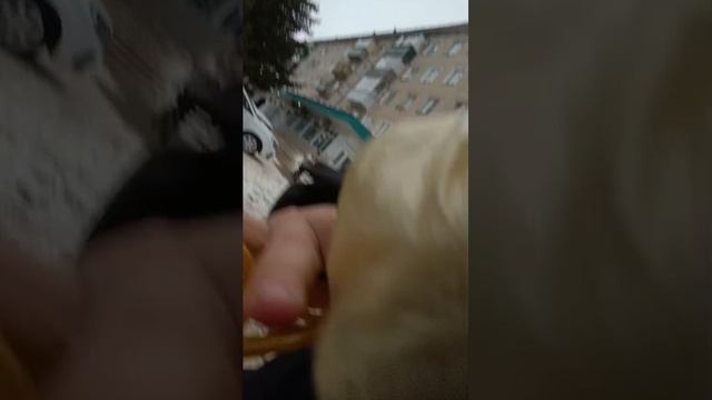 о смотреть онлайн
