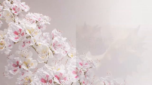 Линия средств ухода для зрелой кожи Nutri-Lumière смотреть онлайн