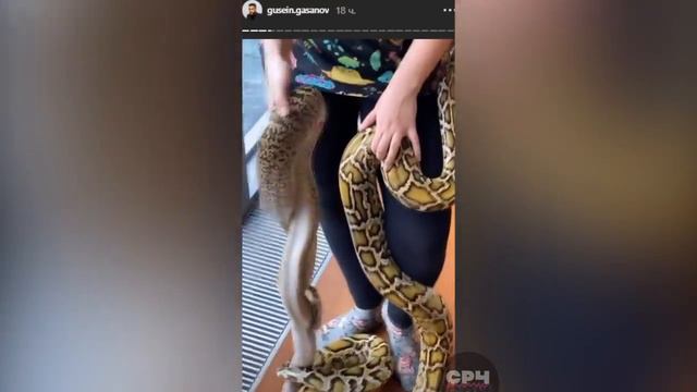 Что случилось с Гери и Евой? Карина Аракелян хочет уехать от родителей смотреть онлайн