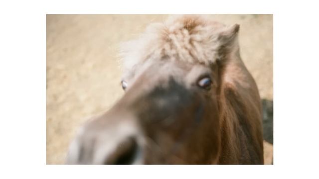 Old Town Road | Farms смотреть онлайн