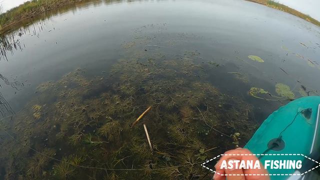 ХОРОШО КЛЮЕТ ЩУКА И ОКУНЬ! РЫБАЛКА В АСТАНЕ смотреть онлайн