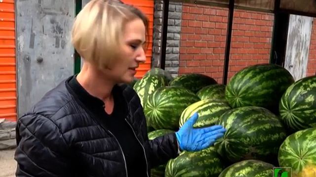 2020 08 12 Особенности выбора арбуза смотреть онлайн