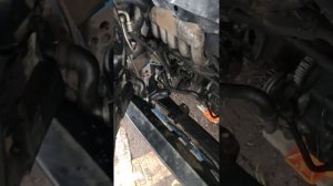 Замена генератора Т5 2.5 в поле