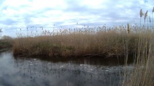 рыбалка с рогаткой, охота с рогаткой,рыбалка на карася с рогаткой