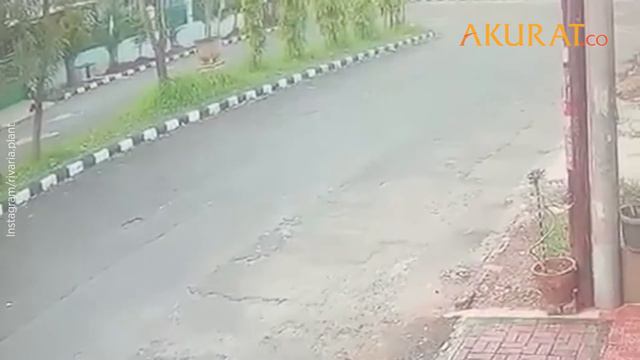 Aksi Emak-Emak Curi Tanaman Hias Terekam CCTV смотреть онлайн