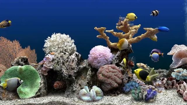Мгновенное избавление от стресса и беспокойства, аквариум,исцеляющие звуки для тела и души. смотреть онлайн