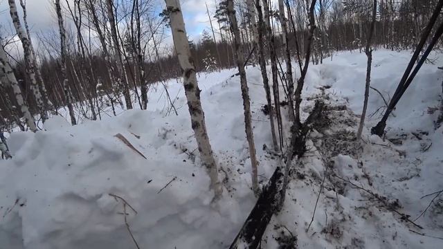 "ПОМОГАТОР-3000" В ДЕЛЕ!) КОПАЕМ МЕТАЛЛОЛОМ НА БОЛОТЕ! КОП МЕТАЛЛА! смотреть онлайн