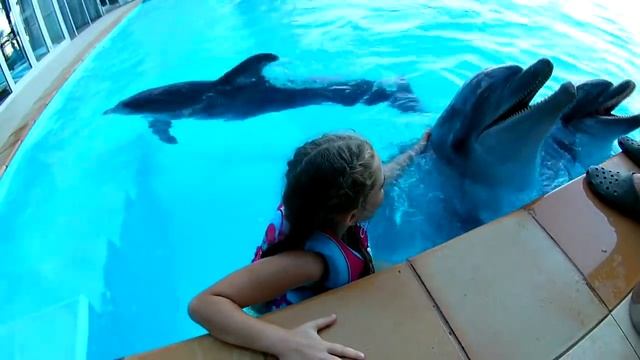 Плавание с дельфинами в дельфинарии НЕМО Одесса в День Рождения. Children Swim with Dolphins. смотреть онлайн