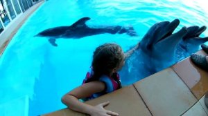 Плавание с дельфинами в дельфинарии НЕМО Одесса в День Рождения. Children Swim with Dolphins.