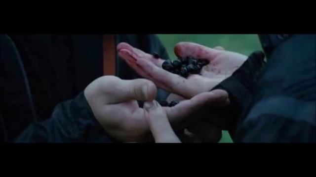The Hunger Games: Tenuous Winners/Returning Home - James Newton Howard смотреть онлайн