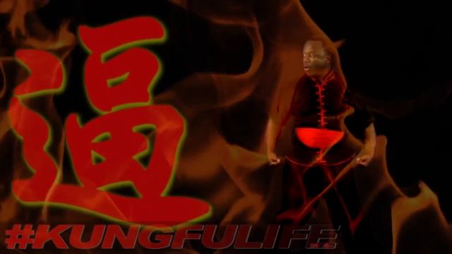 Chinese Martial Arts - Shaolin KungFu 12 Bridge Hands Intro