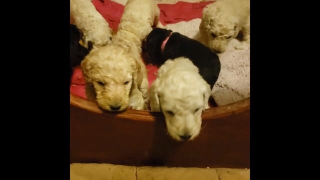 Operation Escape the Box Day One смотреть онлайн