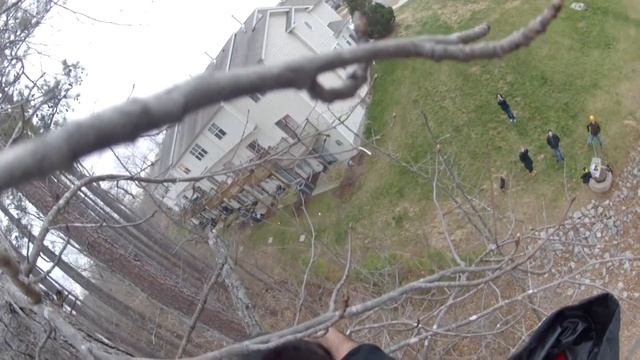 Kitty the Cat's Tree Top Rescue смотреть онлайн