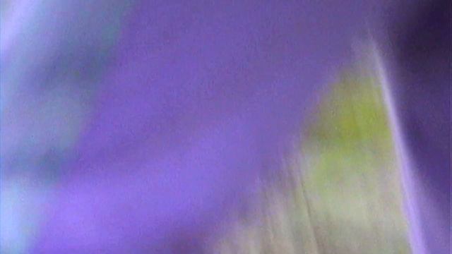 PETZ - All Night Long (Prod. VLOT) смотреть онлайн