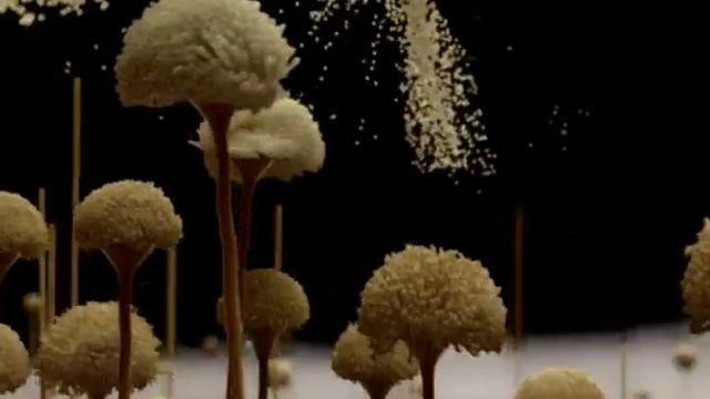 plesen DVDRip Rus Xvid смотреть онлайн