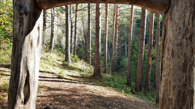 К Старой Мельнице - Белокуриха, золотая осень! смотреть онлайн
