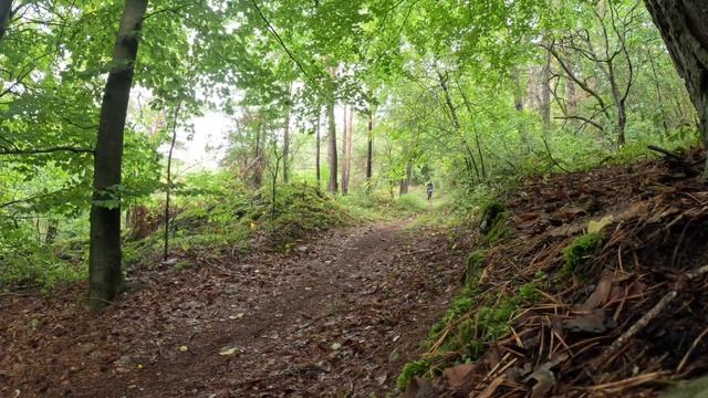 Mtb Tauberbischofsheim смотреть онлайн