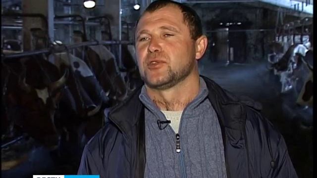 В «Янишполе» купили телят айрширской породы смотреть онлайн