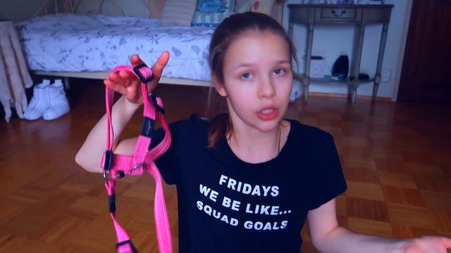 Что я беру с собой на выставку? смотреть онлайн