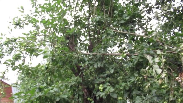 В этой весне... смотреть онлайн