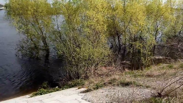 Лето, мост, Ялуторовск смотреть онлайн